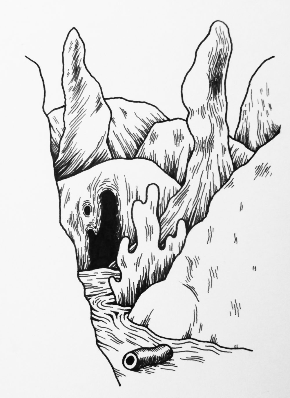 2017-espace-vivant-14-10×15-sacha-menard.