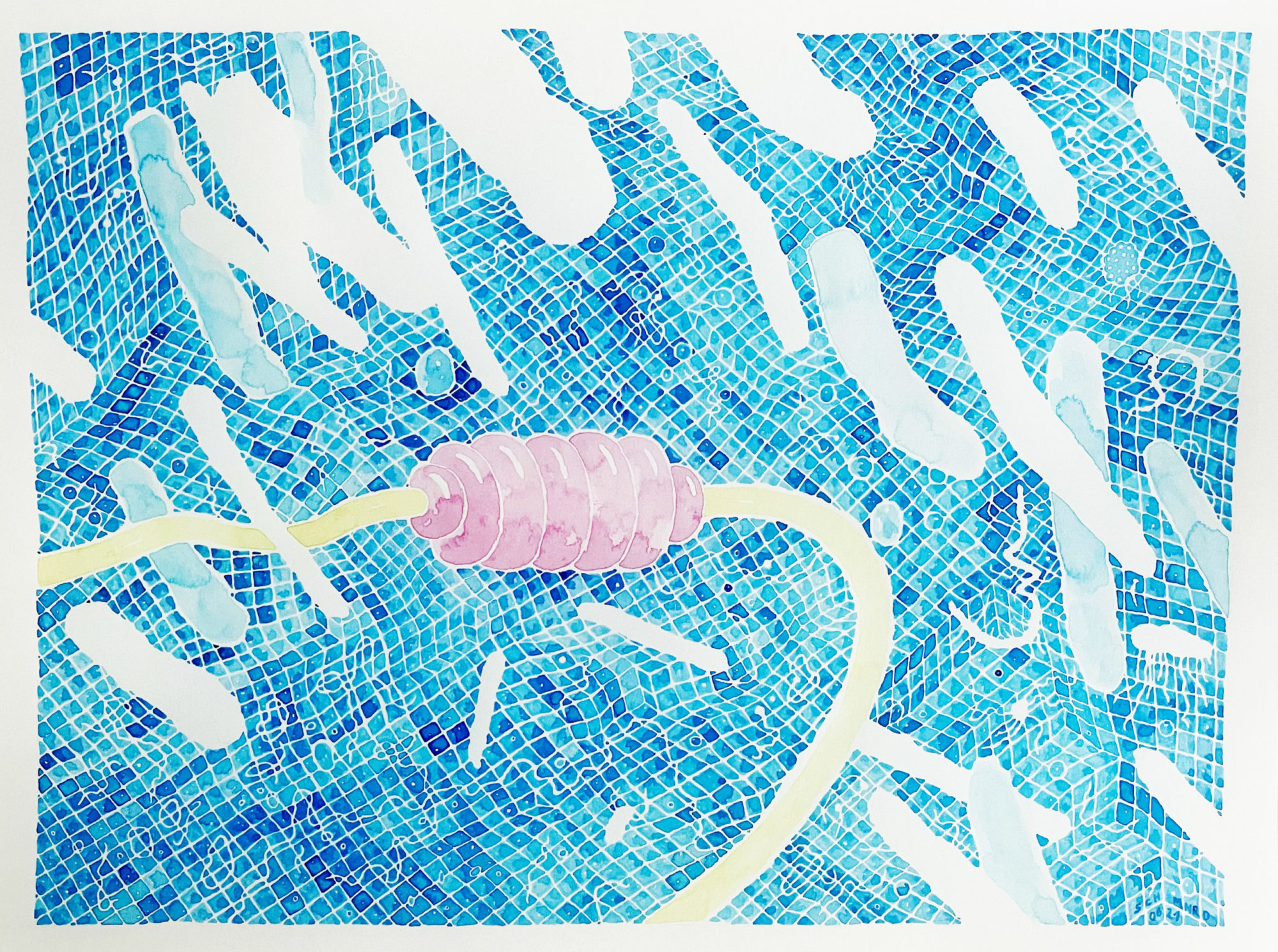 2021-bouée-41X31-sacha-menard