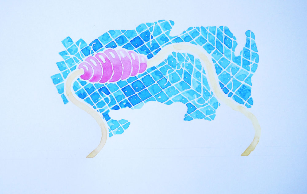 2021-bouée-projet-nosotros-.21X10-sacha-menardJPG